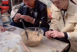 包饺子视频,轻松学会传统美食制作技巧